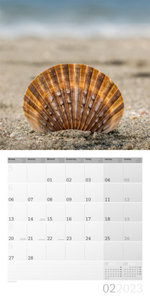 Muscheln Kalender 2023 - 30x30