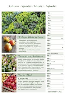 Das Gartenjahr 2023 - Bildkalender 23,7x34 cm - mit saisonalen Gartentipps und Rezepten - Ratgeber - Wandkalender - Küchenkalender - Alpha Edition