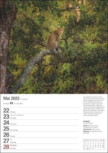 Unsere Tierwelt Wochenplaner 2023. Praktisch und informativ: Kalender mit Platz für Notizen und Wochenkalendarium. Jede Woche tolle Tierfotos in einem Terminkalender zum Aufhängen.