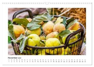 Wochenmarkt - Genussvoll Einkaufen (Wandkalender 2024 DIN A3 quer), CALVENDO Monatskalender