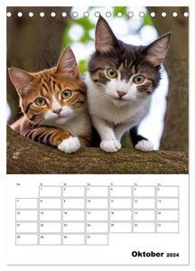 Mit Tieren hinein in das neue Jahr (Tischkalender 2024 DIN A5 hoch), CALVENDO Monatskalender