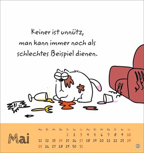 Catzz Postkartenkalender 2026