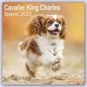 Cavalier King Charles Spaniel 2023- 16-Monatskalender