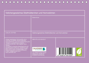 Veilchengewächse - Stiefmütterchen und Hornveilchen (Tischkalender 2023 DIN A5 quer)