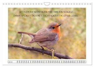 Spruch verliebt (Wandkalender 2024 DIN A4 quer), CALVENDO Monatskalender