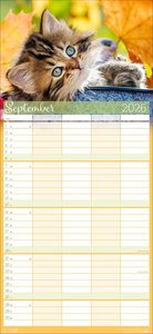 Cool Cats Familienplaner 2026