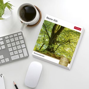 Bäume Postkartenkalender 2026
