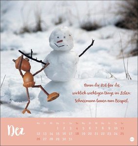 Eichelmännchen Postkartenkalender 2022