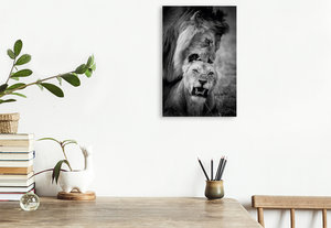 Premium Textil-Leinwand 30 cm x 45 cm hoch Ein Motiv aus dem Kalender FineArt in Black and White: Der König der Löwen