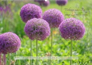 Motivierende Sprüche - gestärkt durch das Jahr (Premium, hochwertiger DIN A2 Wandkalender 2023, Kunstdruck in Hochglanz)