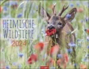 Heimische Wildtiere Kalender 2024. Von Igel bis Wildschein: Naturkalender im Großformat mit heimischen Tieren. Posterkalender für Tierfreunde. Hochwertiger großer Wandkalender.