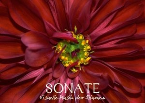 Sonate - Visuelle Musik der Blumen