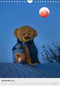 Travelling Teddy liebt es Bunt (Wandkalender 2023 DIN A4 hoch)