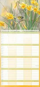 Bunte Vogelwelt Familienplaner 2026