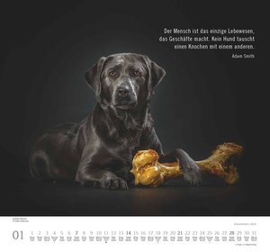 Hundeleben 2024 - DUMONT Wandkalender - mit den wichtigsten Feiertagen - Format 38,0 x 35,5 cm