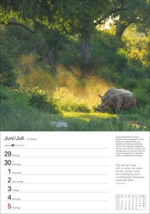Naturschätze Afrikas Wochenplaner 2026