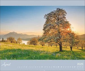 Alpen im Licht Kalender 2025