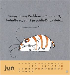 Catzz Postkartenkalender 2023. Humor-Kalender von Alexander Holzach. Kleiner Kalender mit witzigen Cartoon-Katzen. Kalender 2023 im Postkartenformat
