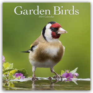 Garden Birds - Gartenvögel 2024 - 16-Monatskalender