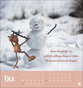Eichelmännchen Postkartenkalender 2022
