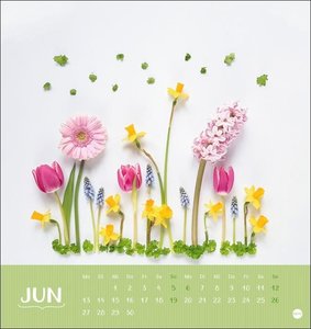 smettikage: Blütenbilder Postkartenkalender 2022