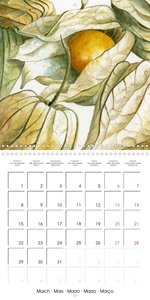 FRUITS SELECTED PAINTINGS BY YANNY PETTERS (Wall Calendar 2021 300 × 300 mm Square)