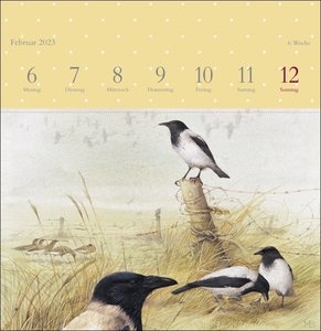 Marjolein Bastin: Schönheit der Natur Premium-Postkartenkalender 2023. Hochwertiger Tisch-Kalender mit 53 liebevoll illustrierten Postkarten. Kleiner Kalender 2023 zum Aufstellen