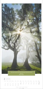 Wunderwelt der Bäume Kalender 2026