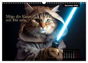 Katzen können alles, außer traurig. (Wandkalender 2024 DIN A3 quer), CALVENDO Monatskalender