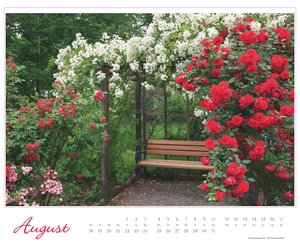 Im Rosengarten 2025 - DUMONT Garten-Kalender - Querformat 52 x 42,5 cm - Spiralbindung