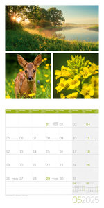 Colours of Nature Kalender 2025 - 30x30