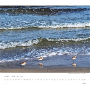 Am Meer - Sand, Wind und Wellen Kalender 2024. Kalender Großformat mit Fotos von Wogen und Sandstränden. Ein Fotokalender, der Lust auf den nächsten Urlaub macht.