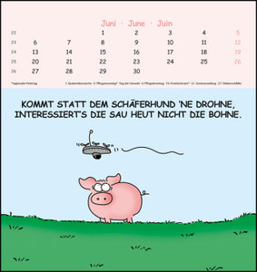 Bauernregeln 2022 - Postkarten-Kalender – Kalender-mit-Postkarten - zum-raustrennen - 16x17
