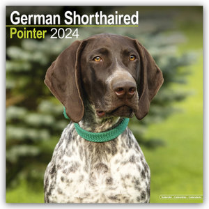 German Shorthaired Pointer - Deutsch Kurzhaar 2024 - 16-Monatskalender