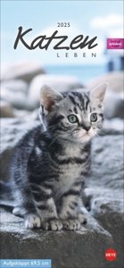 Whiskas Katzenleben Kalender 2025