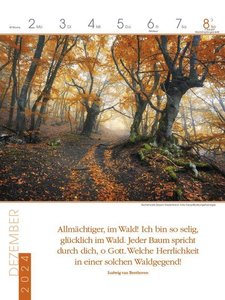 Literaturkalender Magische Wälder 2024