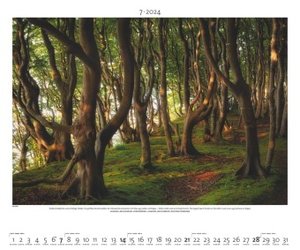 Naturland Deutschland 2024 - Bild-Kalender - Poster-Kalender - 60x50