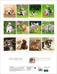 Hundekinder Posterkalender 2026