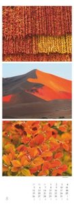 Colours of Nature - Triplets 2024 - Streifenkalender XXL 25x69 cm - Bildkalender im Hochformat - Naturkalender - Wandkalender - Wandplaner
