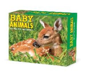 BABY ANIMALS 2022 BOX CAL