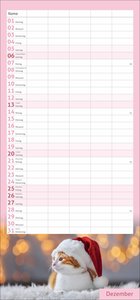 times&more Katzen Familienplaner 2026