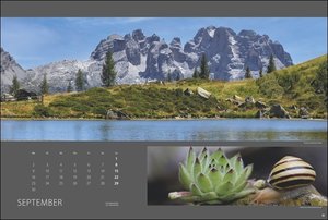Alpen nah und fern Edition Kalender 2024. Wandkalender mit faszinierenden Fotos der Alpen. Hochwertiger Kalender, Landschaften 2024 im Großformat.