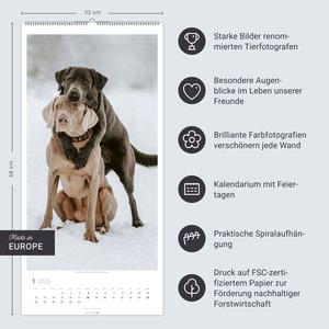 Sitz! Platz! Bleib! Kalender 2026