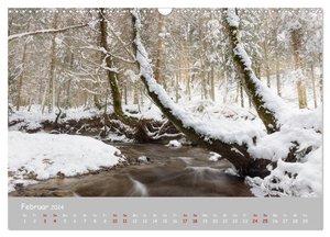 Waldbäche - Im Wandel der Jahreszeiten (Wandkalender 2024 DIN A3 quer), CALVENDO Monatskalender