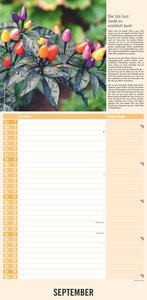 Kräuter & Gewürze 2024 - Streifenkalender 22x45 cm - mit Extraspalte für Geburtstage - Küchentipps und Mondphasen - Wandkalender - Terminplaner