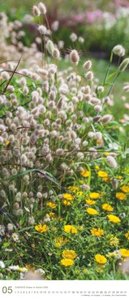 Gräser im Garten 2025 – DUMONT Wandkalender – Garten-Kalender – Hochformat 30 x 70 cm