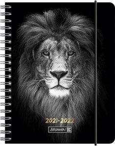 Schülerkalender 2021/2022 (18 Monate) Lion, A6