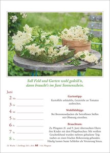 Bauernweisheiten Wochenkalender 2025 - Bauernregeln, Brauchtum, Gartentipps, Haushaltstipps