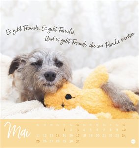 Ziemlich beste Freunde Postkartenkalender 2026