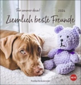 Ziemlich beste Freunde Postkartenkalender 2024. Postkarten-Fotokalender mit Hunden und ihren Lieblingsstofftieren. Kleiner Kalender voll süßer Bilder und lustiger Sprüche.